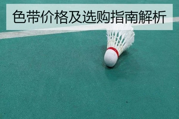 色带价格及选购指南解析
