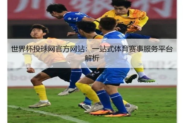 世界杯投球网官方网站：一站式体育赛事服务平台解析