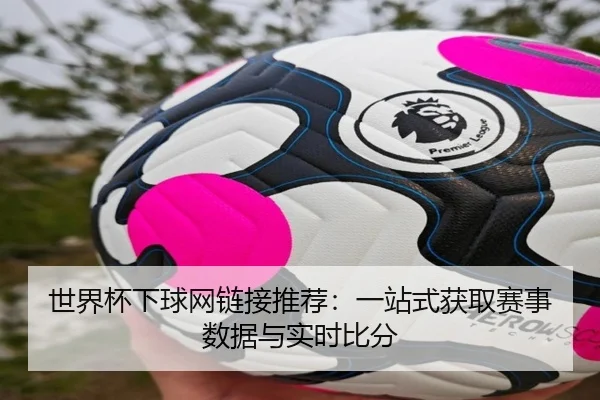 世界杯下球网链接推荐：一站式获取赛事数据与实时比分